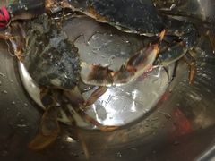 -宾朋海鲜特色美食餐厅·纯手工鲅鱼水饺(兴海路店)