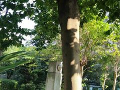 -广州神农草堂中医药博物馆