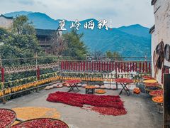 -篁岭景区