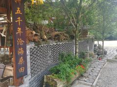 -青城甲(青城山店)