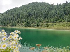 -武陵山森林公园