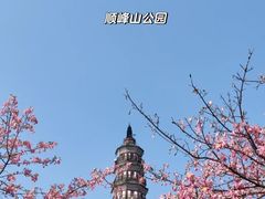 -顺峰山公园