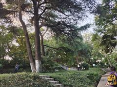 -伯先公园