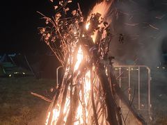 -千年银杏谷文化旅游区