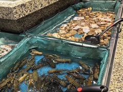 -初色海鲜自助(万丰路店)