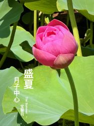 点击看大图 -宝馨月月子中心(友谊医院店)