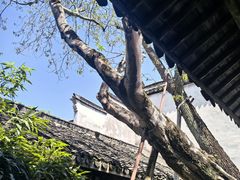 -乌镇东栅景区-江南百床馆