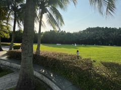 -深圳国际园林花卉博览园