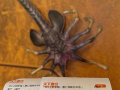 -SFC上影影城(港汇永华IMAX激光店)