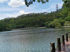 -深圳仙湖植物园