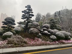 -阿哈湖国家湿地公园