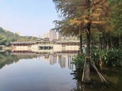 -重庆彩云湖湿地公园