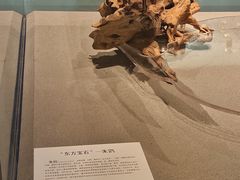 -浙江自然博物院(杭州馆)