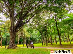 -大沙河公园