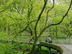 -西湖风景区-江洋畈生态公园