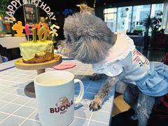 -百好乐宠物友好餐厅(朝外大街店)