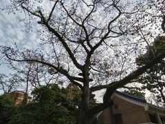 -广州中山纪念堂