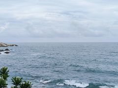 -广东惠东海龟国家级自然保护区