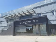 -雪莲品牌工厂店