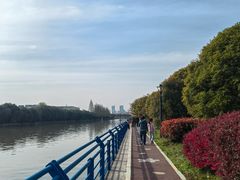 -高东镇樱花园