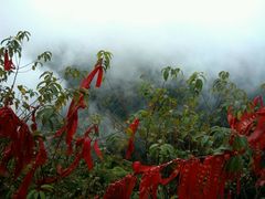 雲霧山中-腾冲云峰山