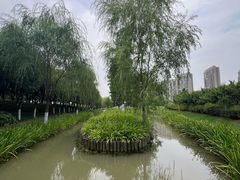 -皇粮浜湿地公园