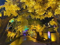 -横店影视城梦幻谷园区