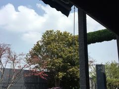 -川流不息(北蔡休闲广场店)