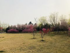 -北京园博大酒店