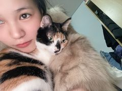 -芭比堂动物医院·24小时·眼科中心(深圳中心)