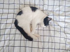 -淀里船宴(卓达店)