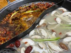 -乖嬢嬢重庆老火锅(南联店)