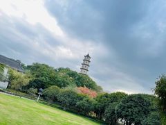 -江心屿景区