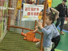 -中国宋庆龄青少年科技文化交流中心