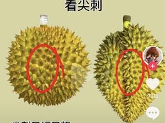 -堤口果品批发市场