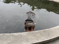 -保定市动物园