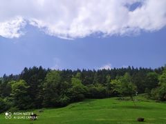 -武陵山森林公园