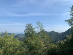 -莫干山风景区