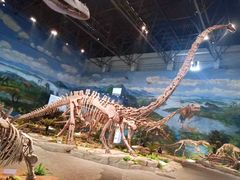 -自贡恐龙博物馆