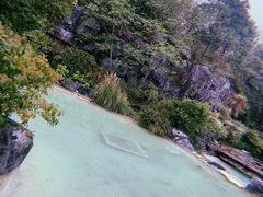 -吴淞炮台湾湿地森林公园烧烤区