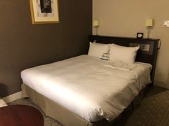 -北海道札幌格兰大酒店
