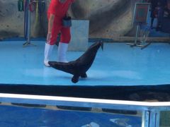 -泉州海丝野生动物世界