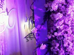 -金陵江南大饭店