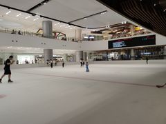 -TheRink大零溜冰场(IFS国金中心店)