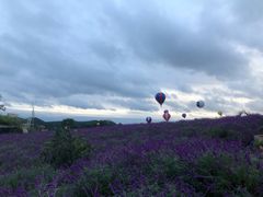 -中国香山·寿香谷