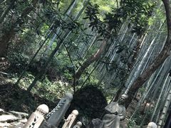 -严子陵钓台(富春江小三峡)