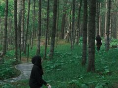 -洛阳白云山景区