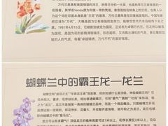 -上海鲜花港