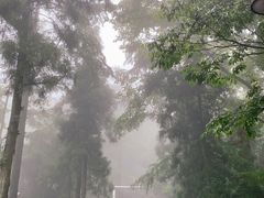 -莫干山风景区