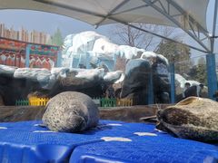-海合安成都极地海洋公园